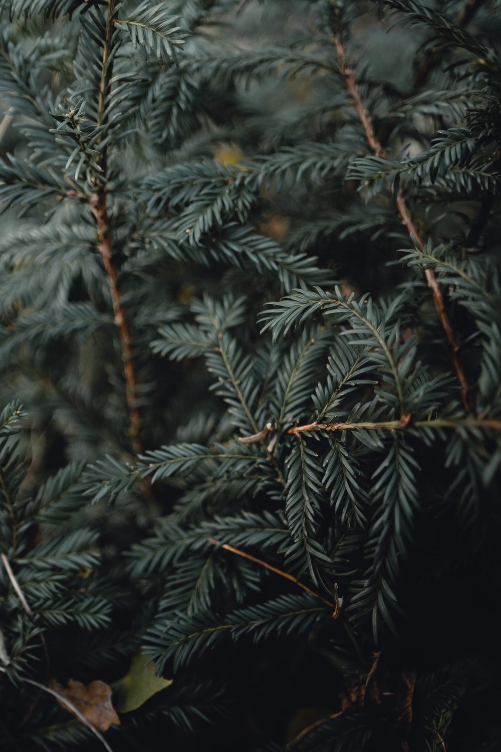 Detail Unsplash Background For Editing Nomer 41
