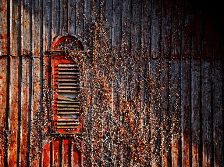 Detail Unsplash Background For Editing Nomer 45