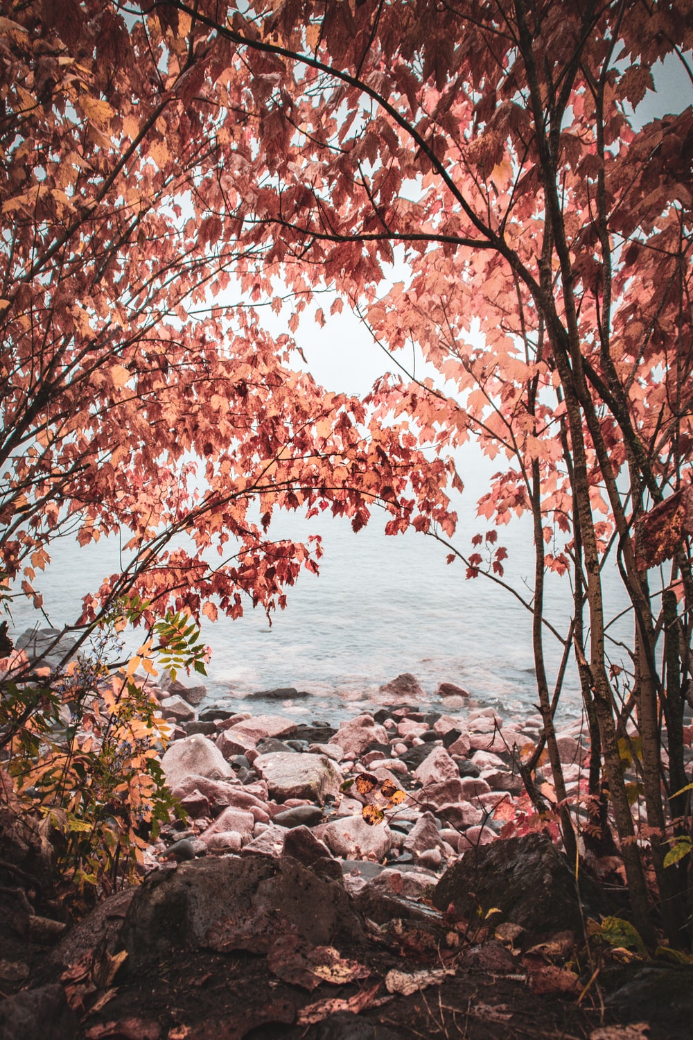 Detail Unsplash Background For Editing Nomer 49