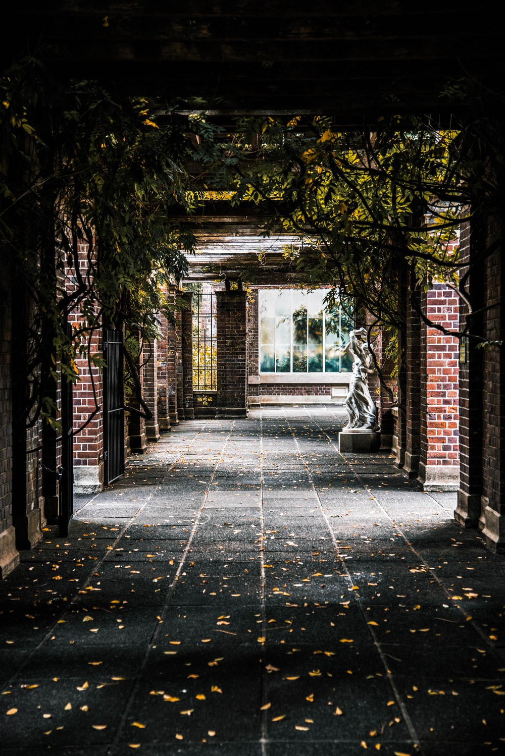 Detail Unsplash Background For Editing Nomer 51
