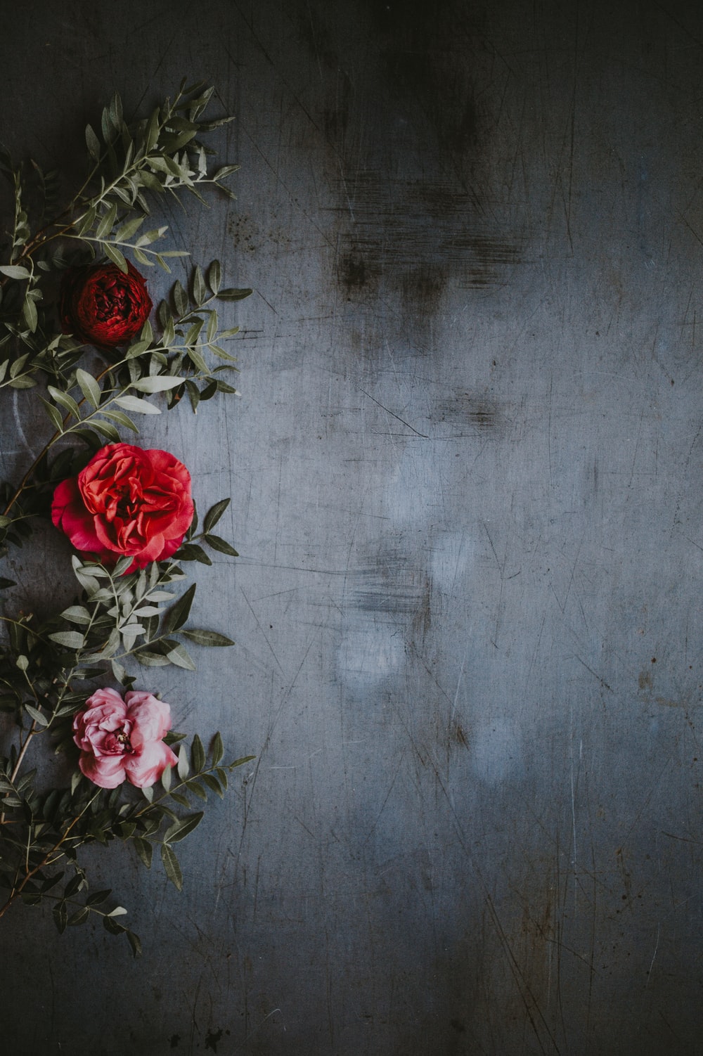 Detail Unsplash Background For Editing Nomer 7