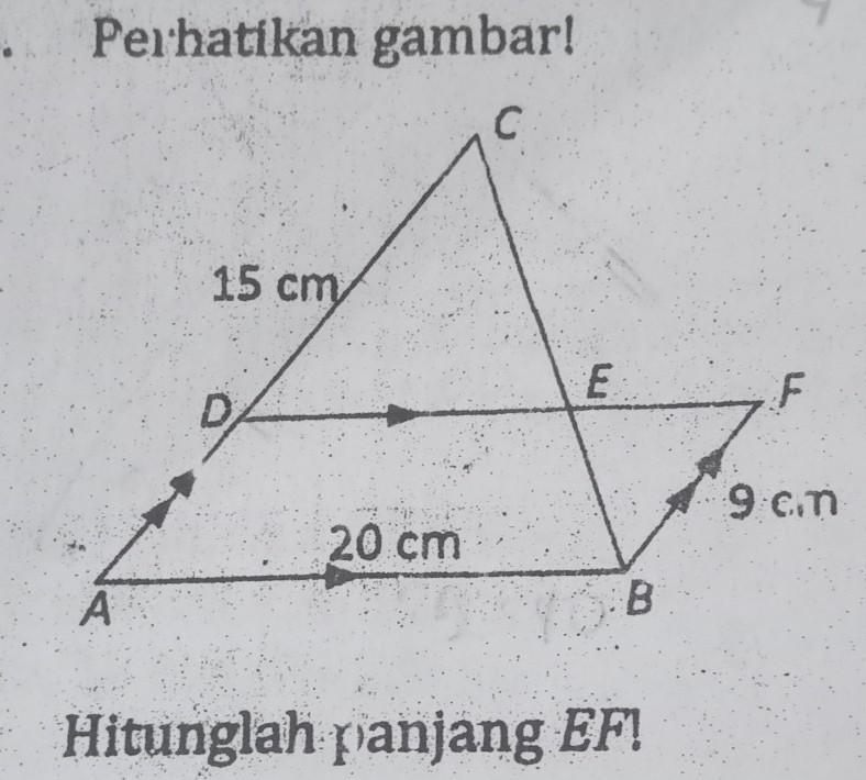 Detail Untuk Gambar Berikut Hitunglah Panjang Ef Nomer 34