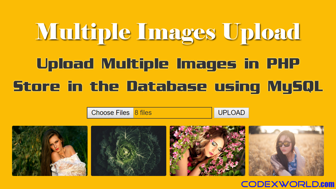Detail Upload Gambar Php Nomer 29