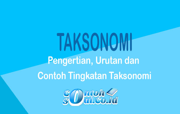 Detail Urutan Takson Kucing Nomer 36