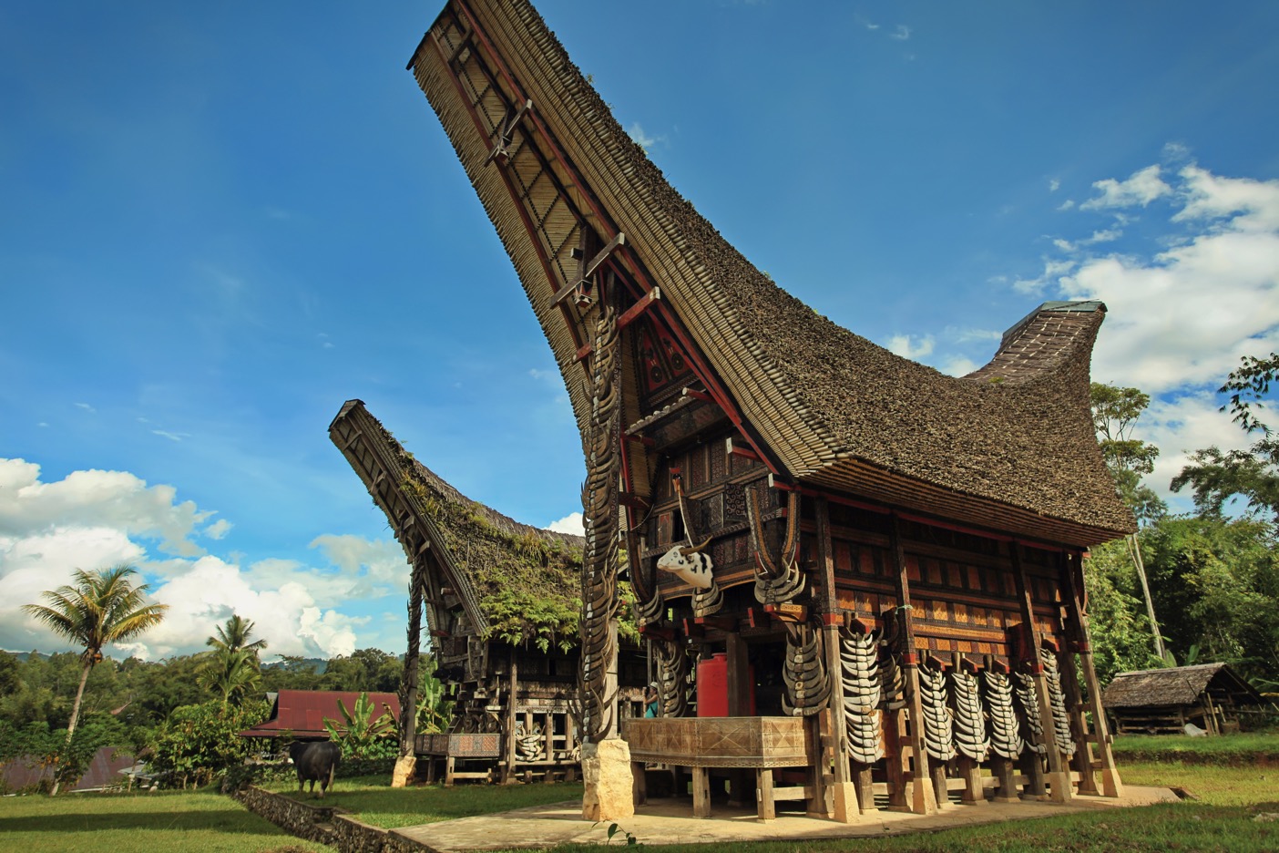 Detail Rumah Adat Luwu Nomer 22