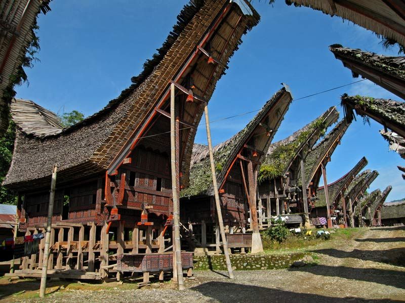 Detail Rumah Adat Masyarakat Toraja Nomer 14