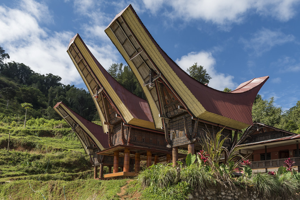 Detail Rumah Adat Masyarakat Toraja Nomer 30