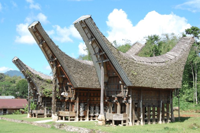 Detail Rumah Adat Masyarakat Toraja Nomer 35