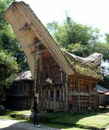 Detail Rumah Adat Masyarakat Toraja Nomer 37