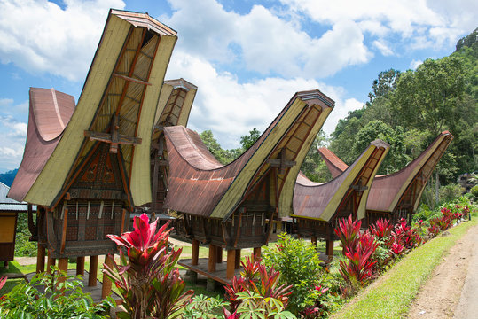 Detail Rumah Adat Masyarakat Toraja Nomer 41