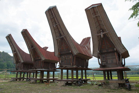 Detail Rumah Adat Masyarakat Toraja Nomer 45