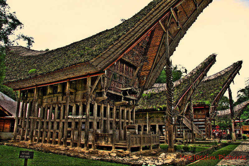 Detail Rumah Adat Masyarakat Toraja Nomer 52