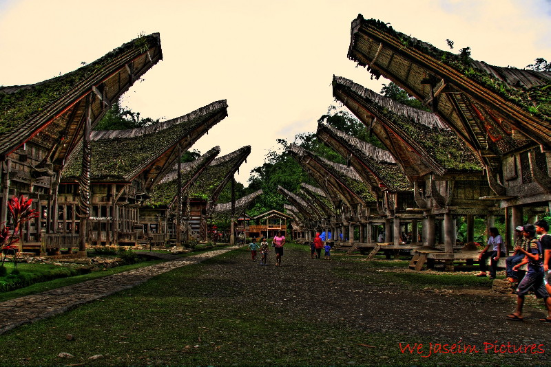 Detail Rumah Adat Masyarakat Toraja Nomer 53