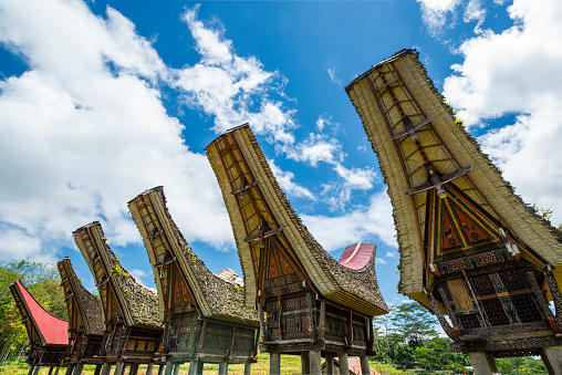 Detail Rumah Adat Masyarakat Toraja Nomer 56