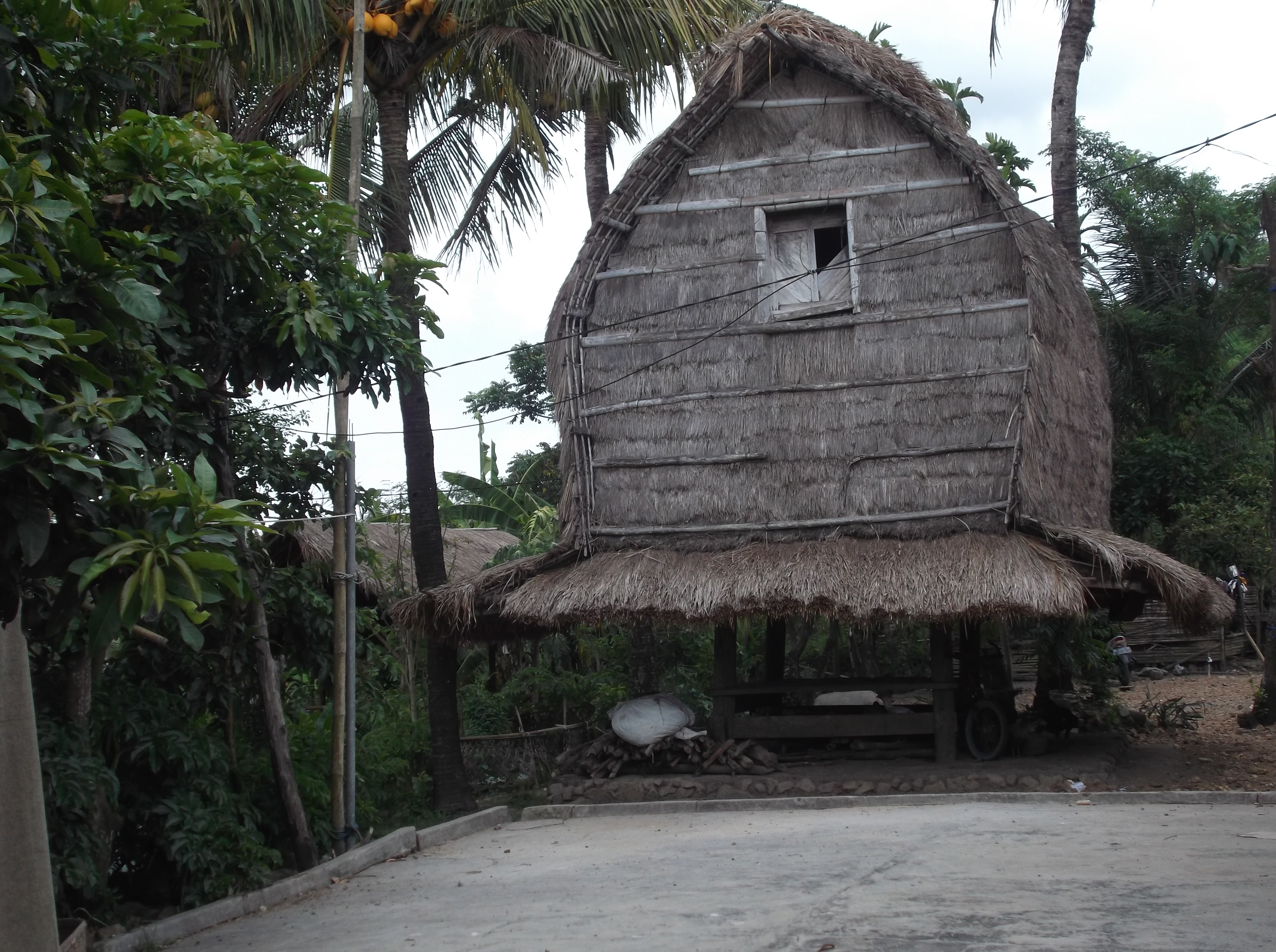 Detail Rumah Adat Mataram Nomer 19