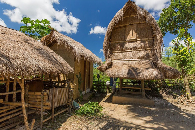 Rumah Adat Mataram 52+ Koleksi Gambar
