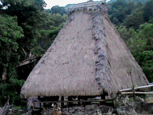 Detail Rumah Adat Nagekeo Nomer 8