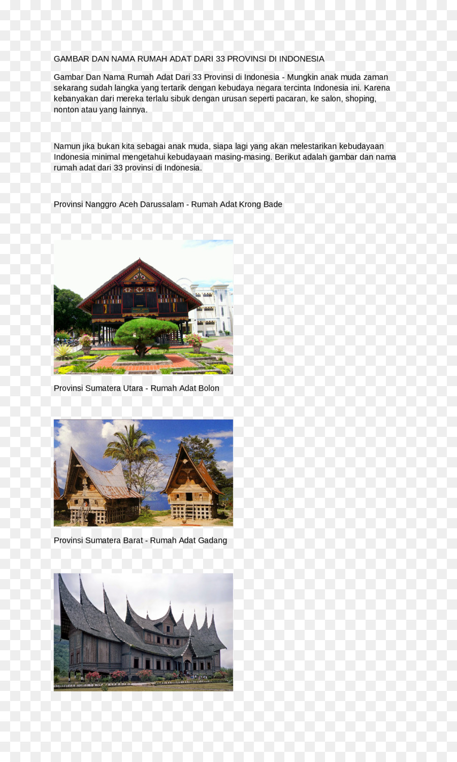 Detail Rumah Adat Padang Png Nomer 31
