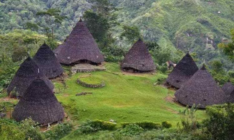 Detail Rumah Adat Papua Namanya Nomer 15