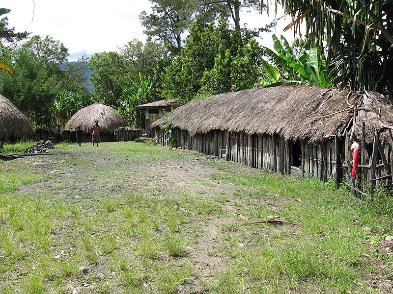 Detail Rumah Adat Papua Nugini Nomer 13