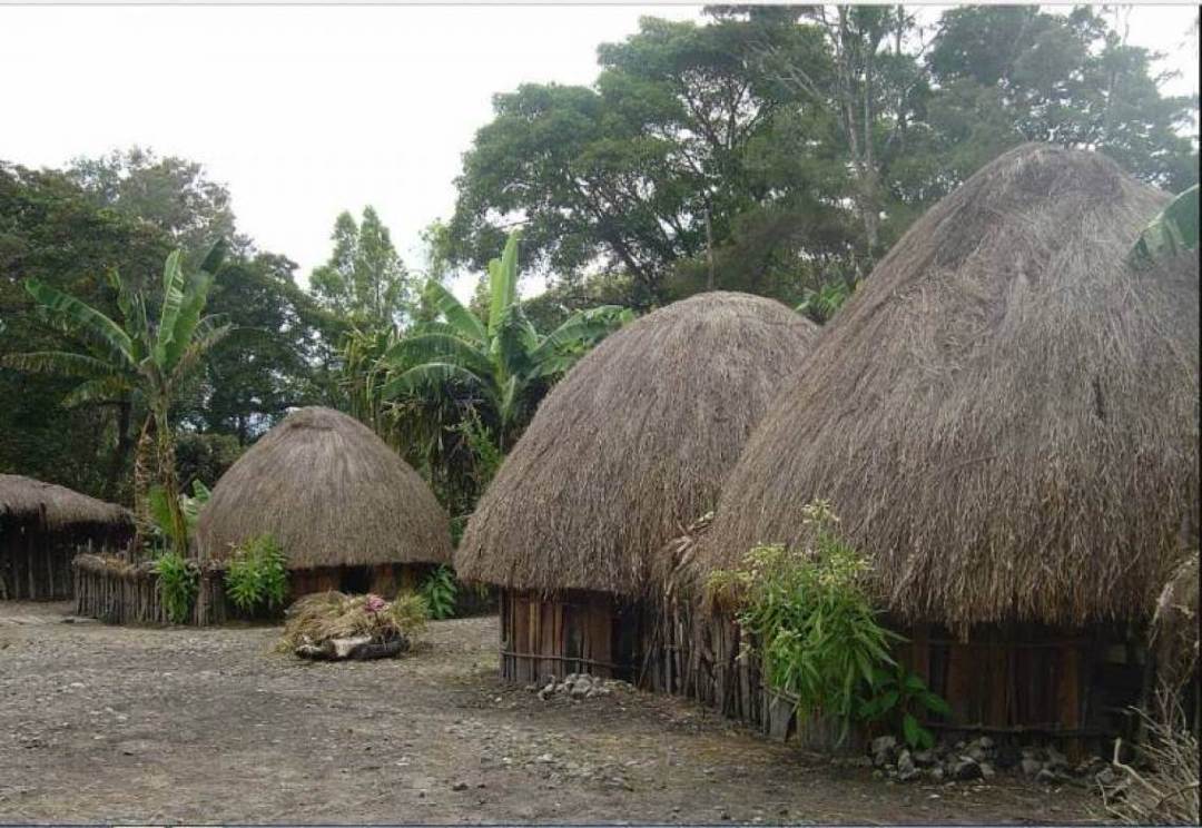 Detail Rumah Adat Papua Nugini Nomer 14