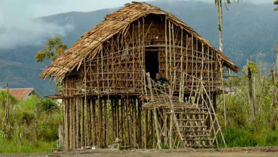 Detail Rumah Adat Papua Nugini Nomer 52