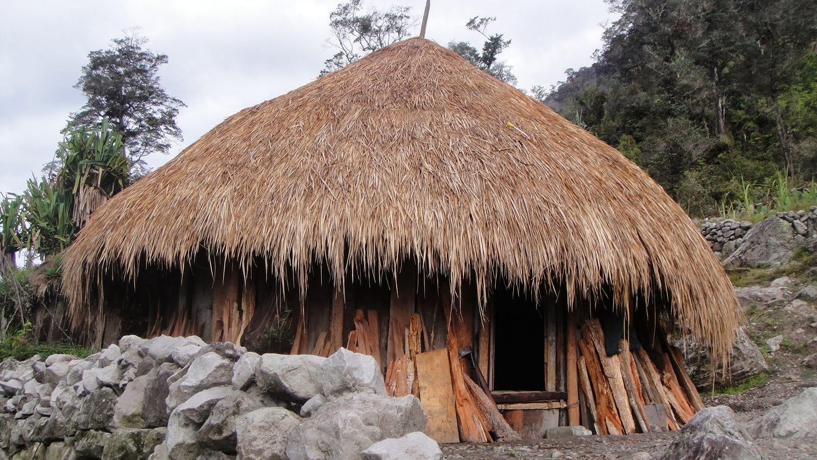 Detail Rumah Adat Papua Nugini Nomer 9