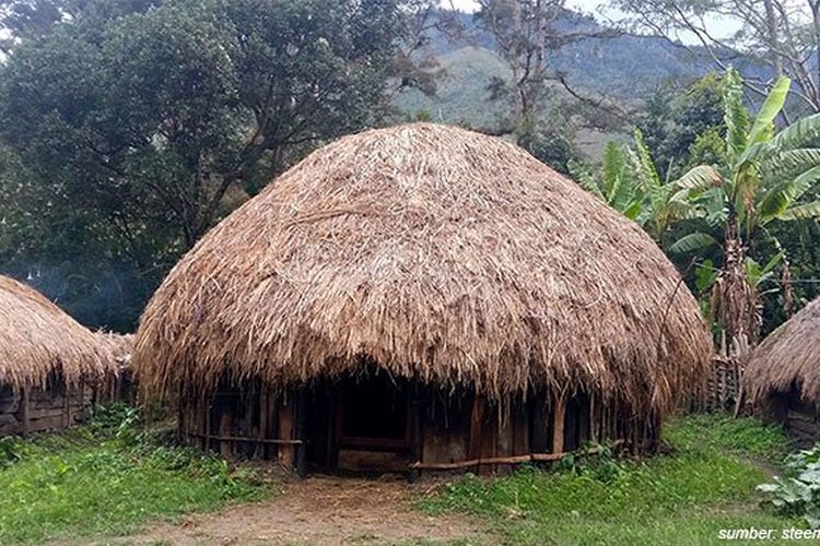 Detail Rumah Adat Provinsi Di Indonesia Nomer 11