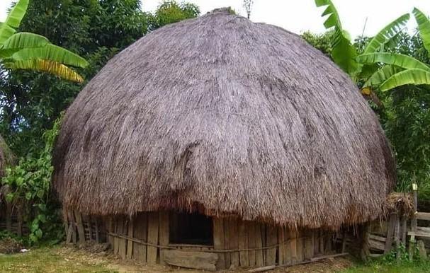 Detail Rumah Adat Provinsi Papua Nomer 13