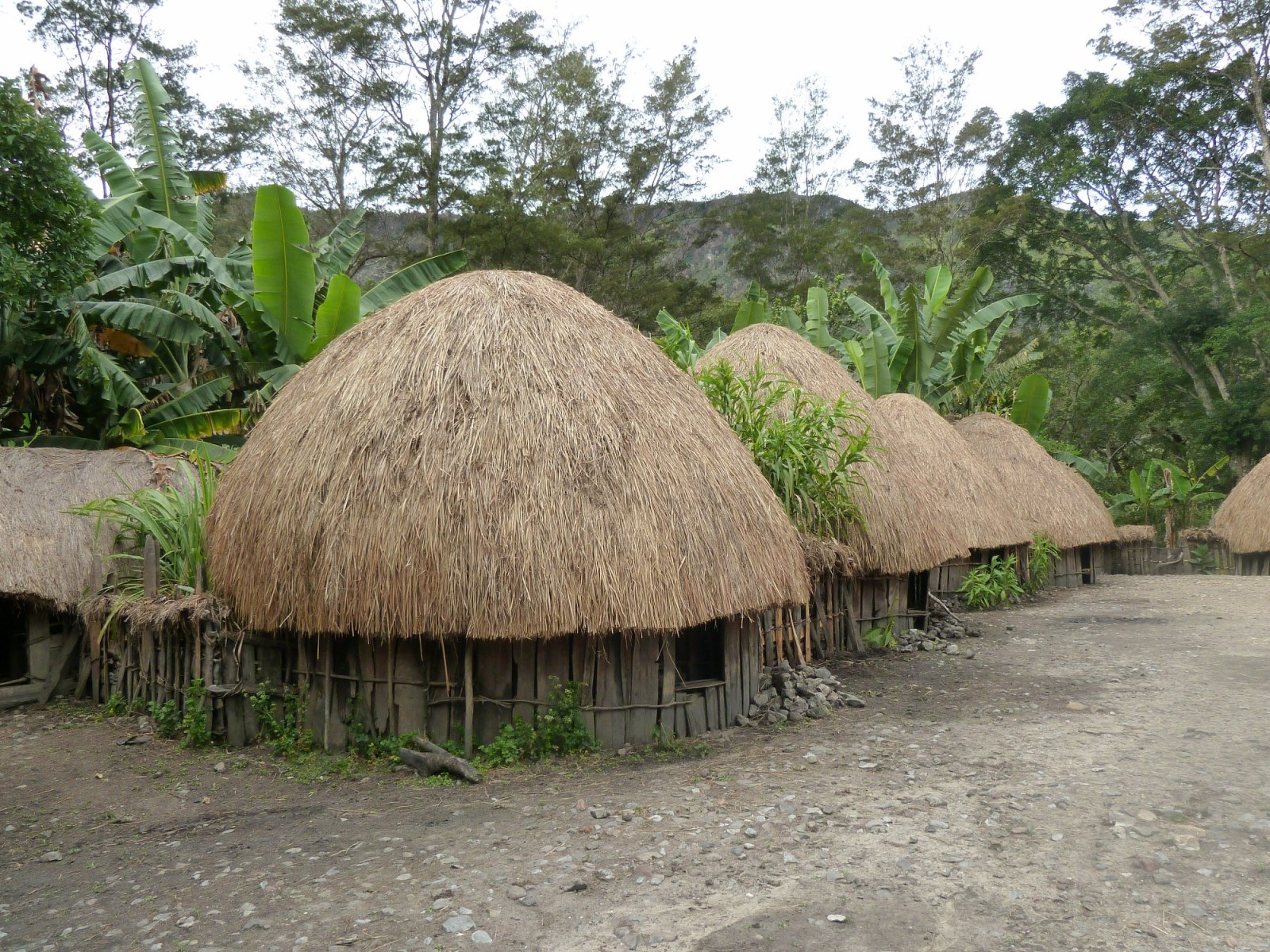 Detail Rumah Adat Provinsi Papua Nomer 17