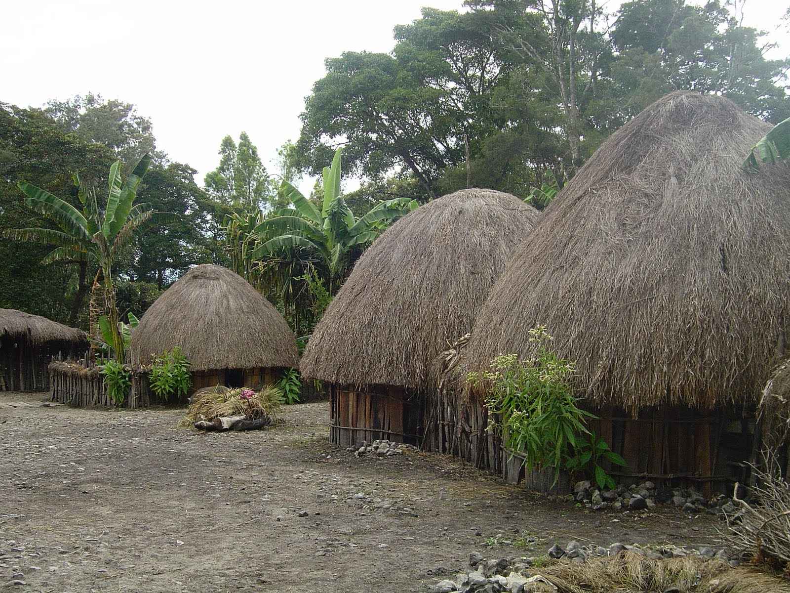 Detail Rumah Adat Provinsi Papua Nomer 24