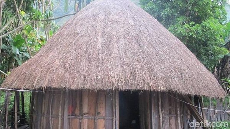 Detail Rumah Adat Provinsi Papua Nomer 7