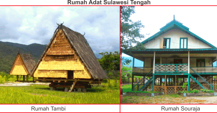 Detail Rumah Adat Souraja Nomer 13