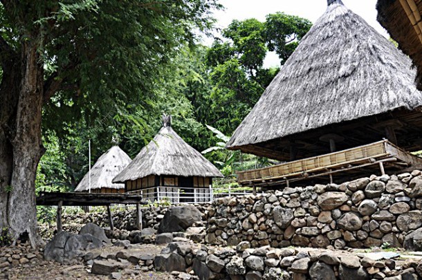 Detail Rumah Adat Suku Alor Nomer 11