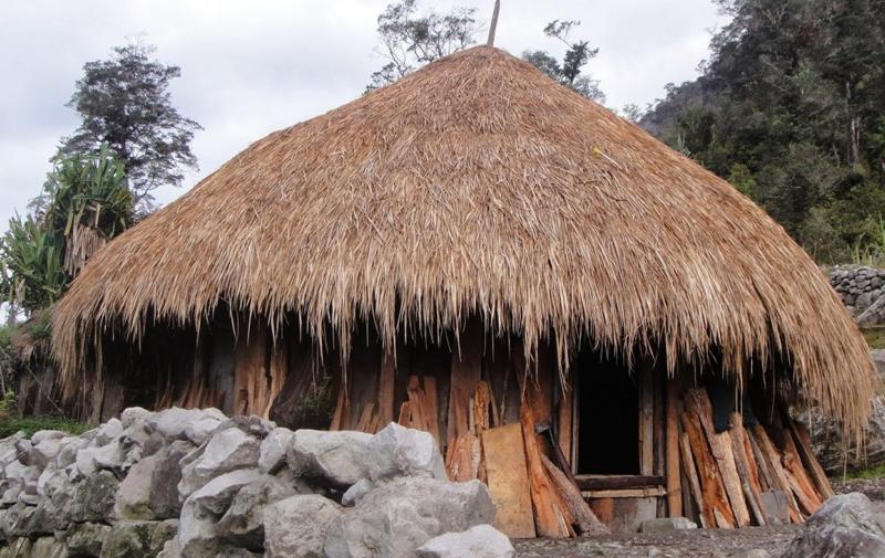 Detail Rumah Adat Suku Amungme Nomer 10