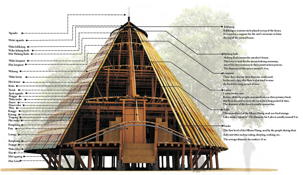 Detail Rumah Adat Suku Flores Nomer 18