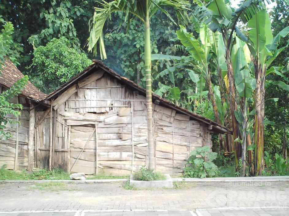 Detail Rumah Adat Suku Samin Nomer 3