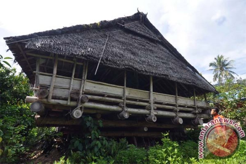 Detail Rumah Adat Sulawesi Tengah Nomer 32