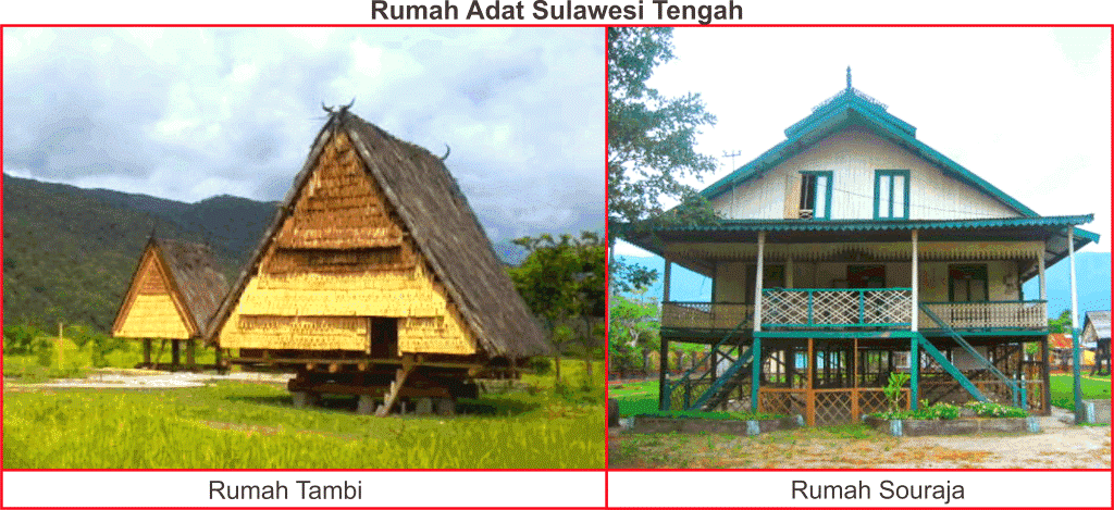 Detail Rumah Adat Sulawesi Tenggara Nomer 51