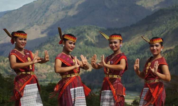 Detail Rumah Adat Sumatera Utara Gambar Pakaian Adat Sumsel Nomer 29