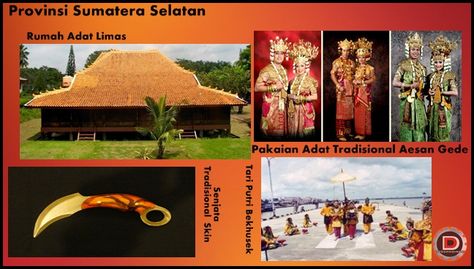 Detail Rumah Adat Sumatera Utara Gambar Pakaian Adat Sumsel Nomer 30