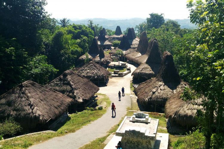 Detail Rumah Adat Sumba Barat Daya Nomer 3