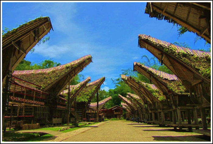 Detail Rumah Adat Tanah Toraja Nomer 19