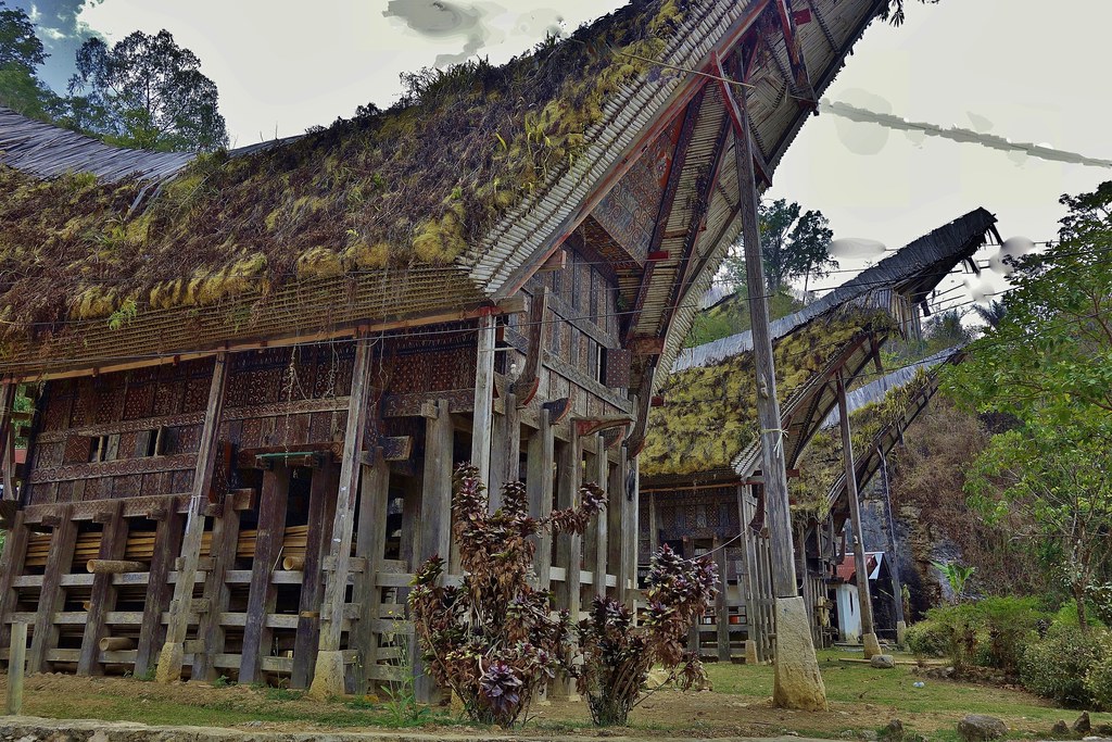 Detail Rumah Adat Tanah Toraja Nomer 21