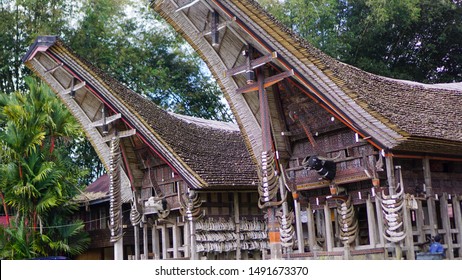 Detail Rumah Adat Tanah Toraja Nomer 27
