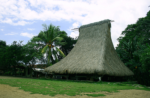 Detail Rumah Adat Temukung Nomer 2