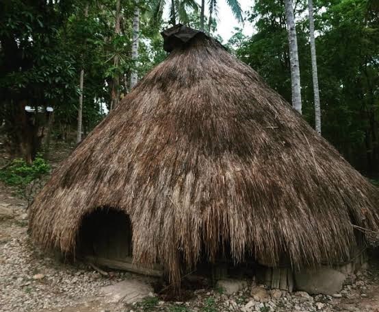 Detail Rumah Adat Temukung Nomer 14