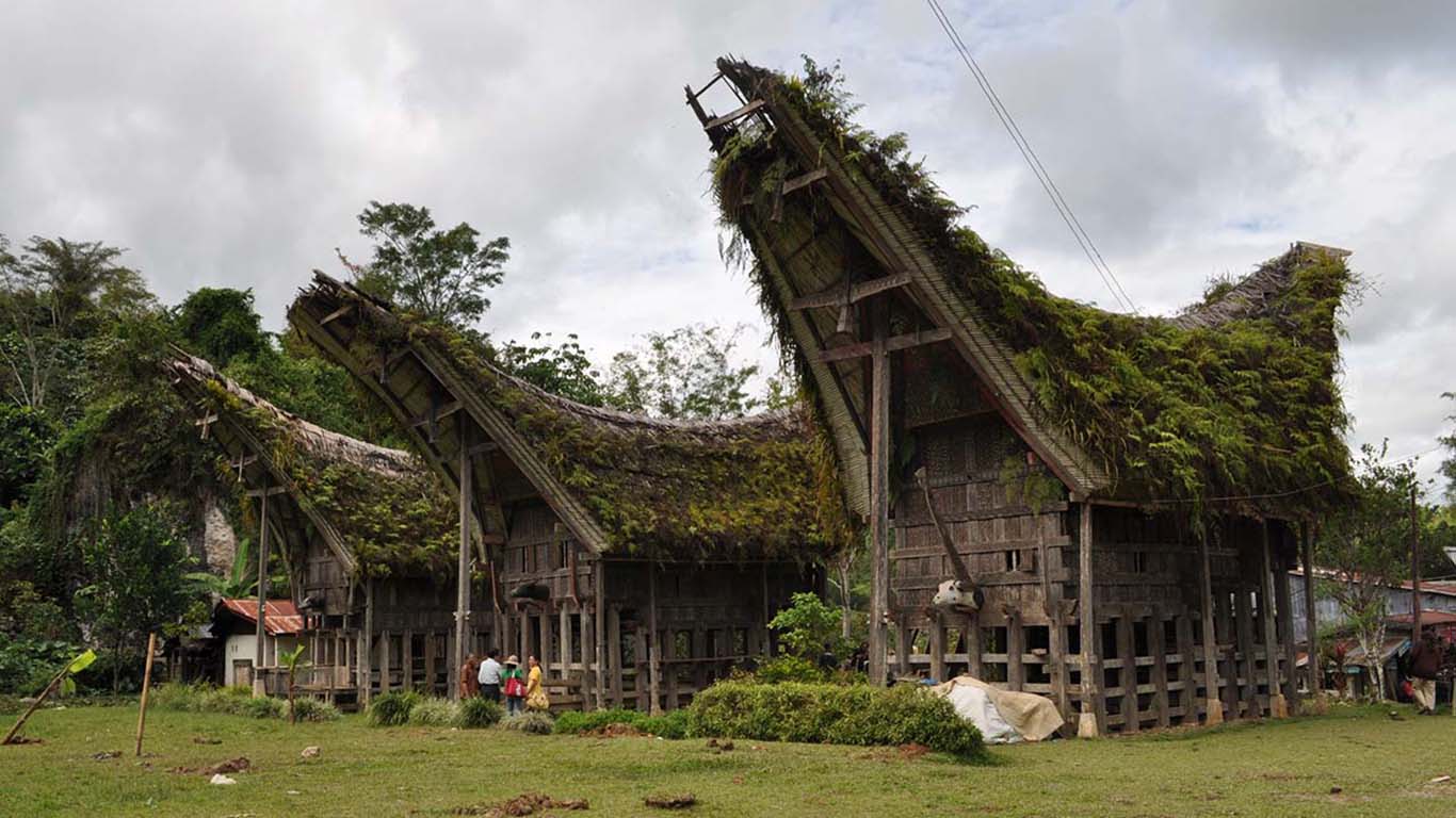 Detail Rumah Adat Toraja Atapnya Berbentuk Nomer 36