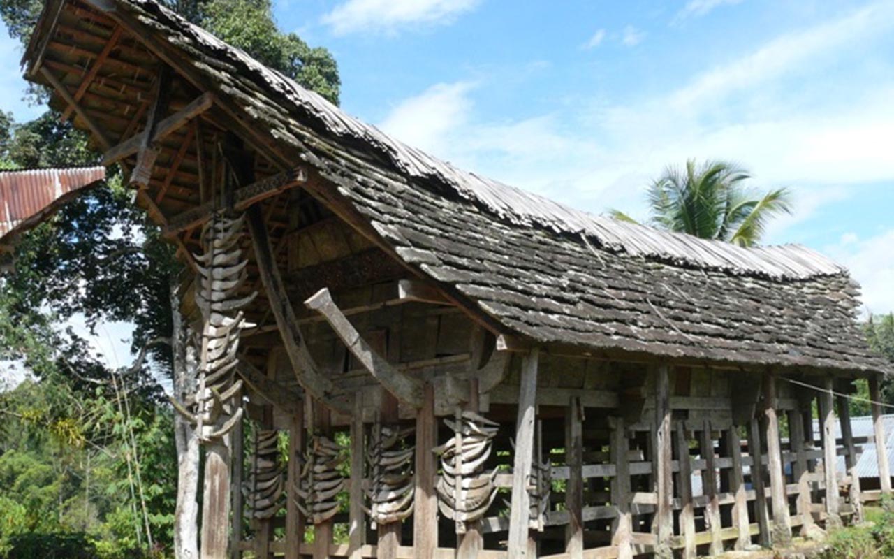 Detail Rumah Adat Toraja Atapnya Berbentuk Nomer 47