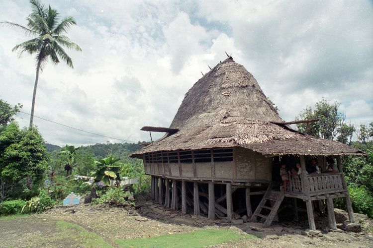 Detail Rumah Adat Toraja Atapnya Berbentuk Nomer 52